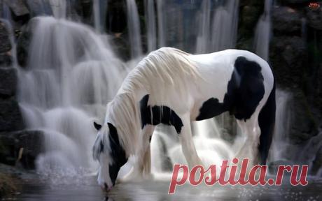 Интересные новости