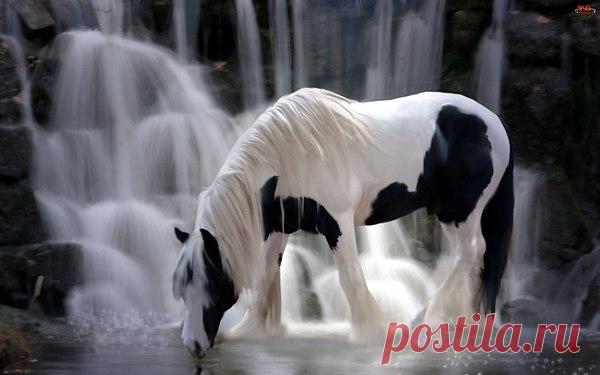 Интересные новости