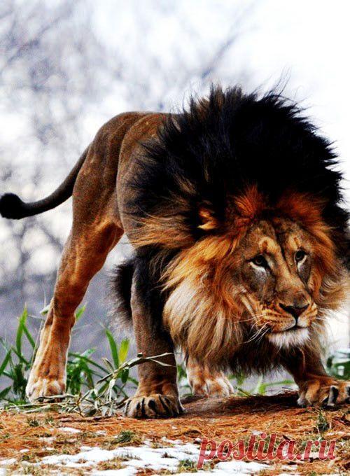 My favorite Tapiture photos of the week (50 Photos)