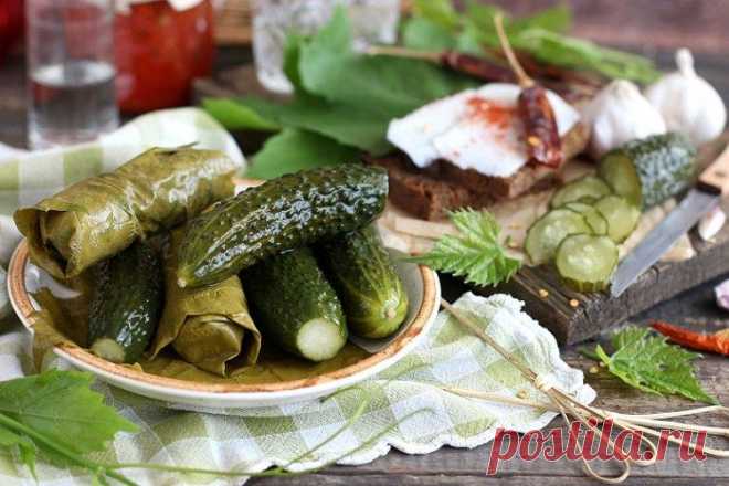 20 простых и вкусных рецептов малосольных огурцов Малосольные огурцы — традиционная закуска любого русского стола. Их подают к горячему, добавляют в салаты или на бутерброды. У каждой хозяйки есть проверенный рецепт соления, ну а мы выбрали 20 самых лучших из них!