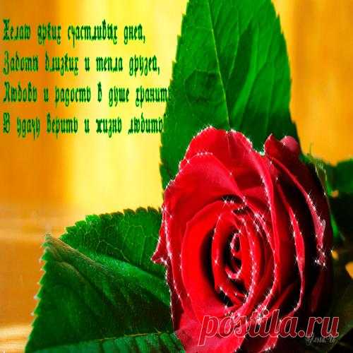 Пожелания!!!