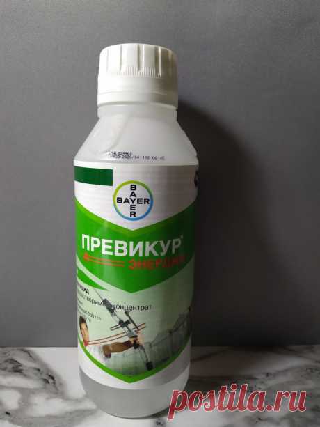 Орхидеи Ржев Юлия. Превикур фунгицыд для орхидей