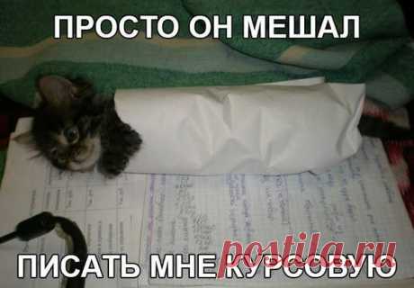 Мой Мир@Mail.Ru
