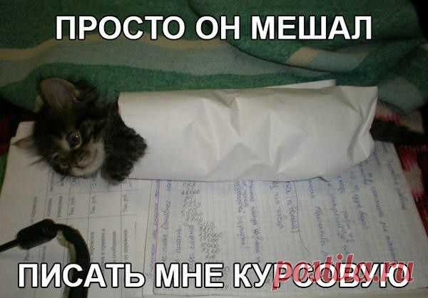 Мой Мир@Mail.Ru