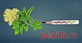 Почему температуру тела до 38,5°С не сбивают: как лечить лихорадку без таблеток и когда пора к врачу 
Спад энергии, озноб и желание завалиться на боковую – нам всем хорошо известны симптомы, когда происходит повышение температуры тела. Но иногда высокая температура вызывает тревогу, и часто люди подд…