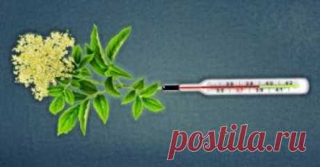 Почему температуру тела до 38,5°С не сбивают: как лечить лихорадку без таблеток и когда пора к врачу 
Спад энергии, озноб и желание завалиться на боковую – нам всем хорошо известны симптомы, когда происходит повышение температуры тела. Но иногда высокая температура вызывает тревогу, и часто люди подд…