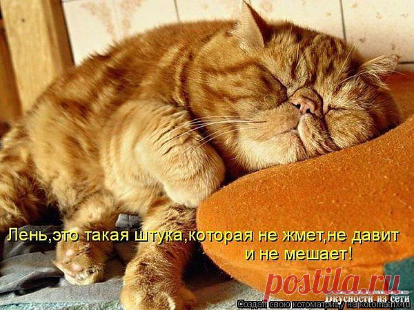 сон