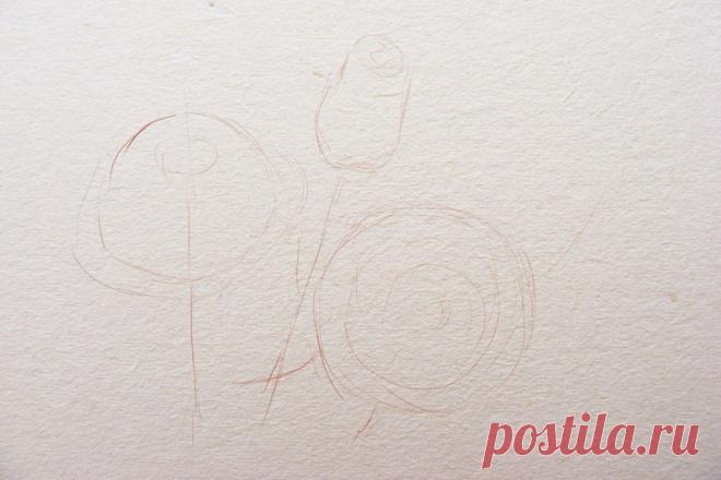 Как нарисовать розу поэтапно карандашом для начинающих