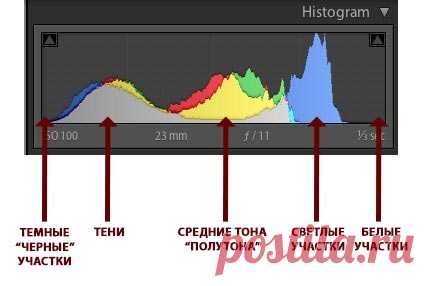 Как научиться читать и понимать гистограмму