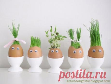 Огород в яичных скорлупках / Вязание как искусство!