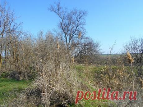 Радиостанция "Джаз, лаунж и прочее фоновое..." - 27 Декабря 2016 - Персональный сайт