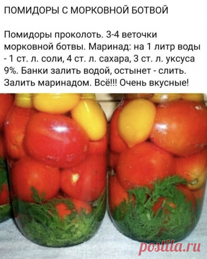Фотография в альбоме «Гифы»