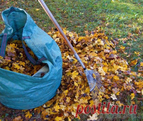 Быстрый компост в мешках: осенью закладываем, а весной вносим на грядки