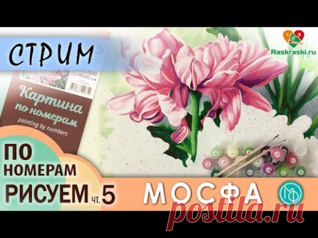Раскрашиваем картину по номерам МОСФА &quot;Астры&quot; 5 ЧАСТЬ в прямом эфире! Рисовать просто! Раскраски