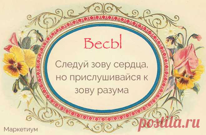 Лучший совет для каждого знака зодиака! | Медиа-Полесье
