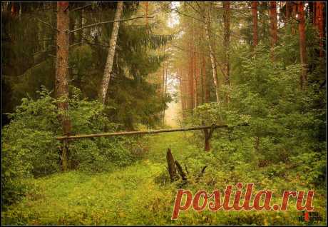 35PHOTO - VTORNIK Эдуард Николаев - * * *