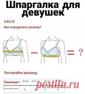ЯжеХозяйка Шпаргалка по размеру лифа