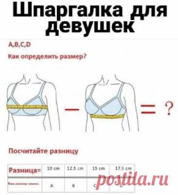 ЯжеХозяйка Шпаргалка по размеру лифа