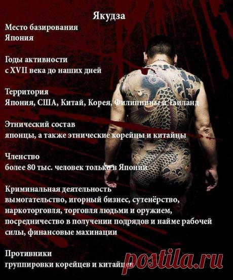Якудза. Япония» Tormashki - сайт юмора. Приколы, анекдоты, смешное видео