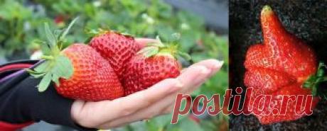 Блог Тамары Казанцевой