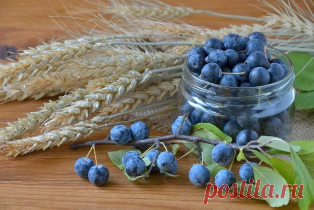 Терн в собственном соку на зиму — Домашняя кулинария