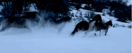 anigif_original-32707-1393591945-9.gif (1000×400)