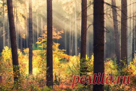 Фотоарт Матиаса Хакера (Matthias Haker) красив, поэтичен и глубок… — Фотоискусство