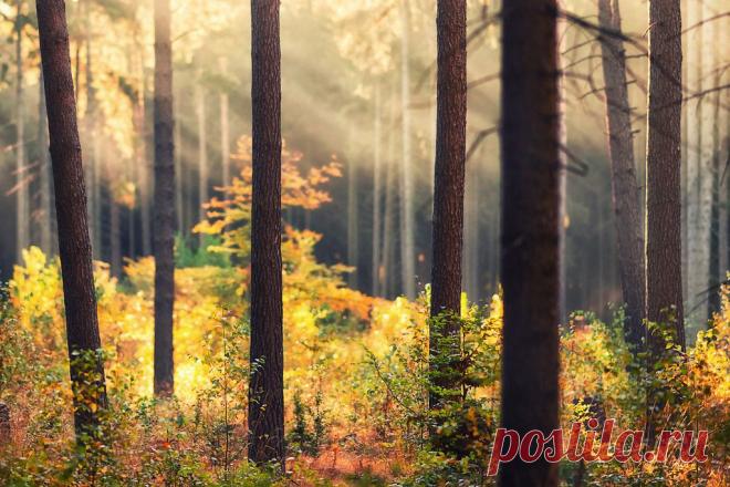 Фотоарт Матиаса Хакера (Matthias Haker) красив, поэтичен и глубок… — Фотоискусство