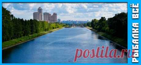 Топ-10 лучших мест для рыбалки в Подмосковье | Рыбалка Всё | Дзен