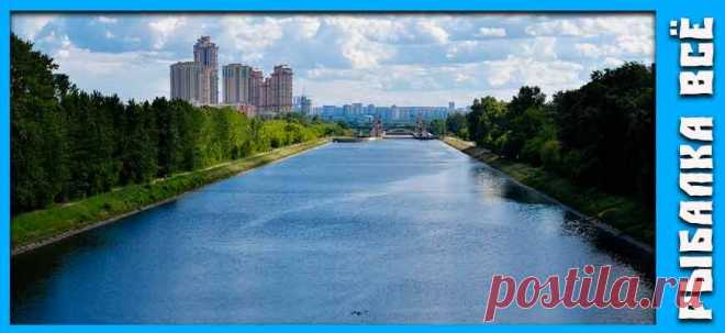 Топ-10 лучших мест для рыбалки в Подмосковье | Рыбалка Всё | Дзен