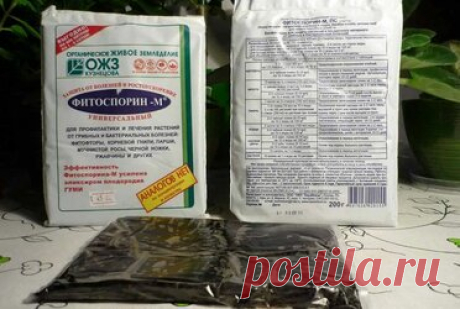 Для чего применяется фитоспорин Содержание. Состав и действие. Формы выпуска. Правила использования. Отзывы. Один из самых востребованных биопрепаратов, предназначенных для профилактики и лечения плодовых культур, овощей, ягод и декоративных растений от грибковых заболеваний ― Фитоспорин. Кроме выполнения защитных функций, он служит отличным стимулятором роста и улучшает плодородность почвы. Состав и действие.