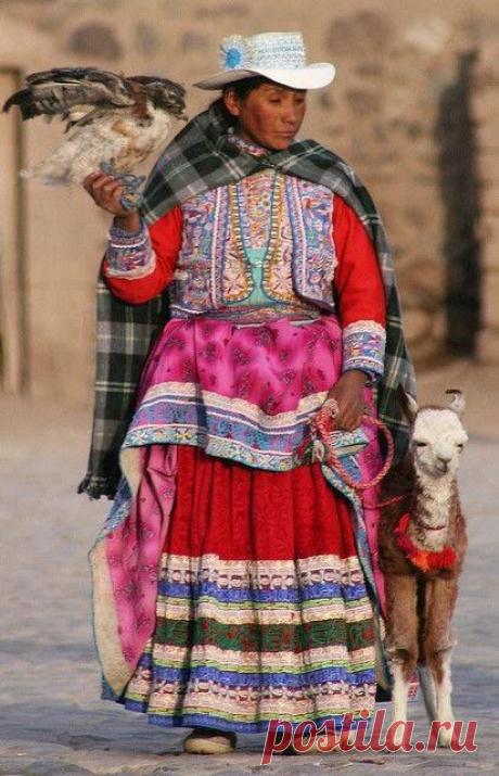 Шерсть и хлопок