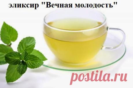 Всё самое интересное!: эликсир "Вечная молодость"