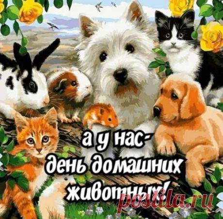 В чудный день домашних животных хочу пожелать, чтобы наши питомцы всегда были для нас верными друзьями и моральной поддержкой, чтобы они дарили нам радость и счастливые моменты, веселье и искреннюю любовь.  Открытки на День домашних животных!