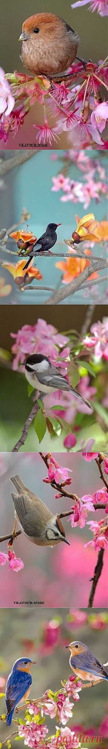 Весенний "Мир красоты"