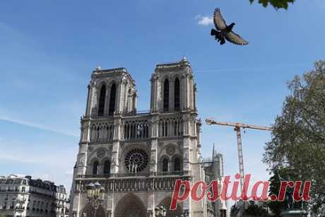 Раскрыт технологический прорыв в строительстве Нотр-Дама. Ученые смогли раскрыть технологический прорыв в строительстве Нотр-Дама. Он был первым готическим собором, построенным с использованием железной арматуры. «Железо рассматривалось как действительный строительный материал для создания новой архитектурной формы», — подчеркнули специалисты.