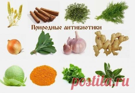 Природные антибиотики лечение без осложнений