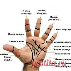 Что говорят о вас главные линии на руке?