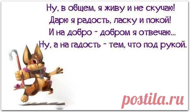 Веселые картинки - Группы Мой Мир