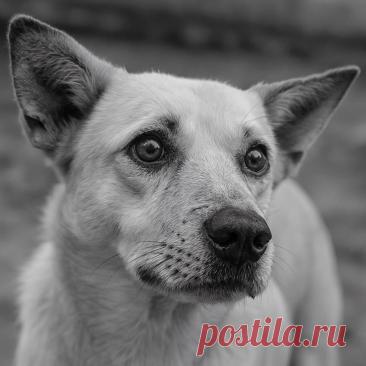 Подаяние - OGADANIE.RU