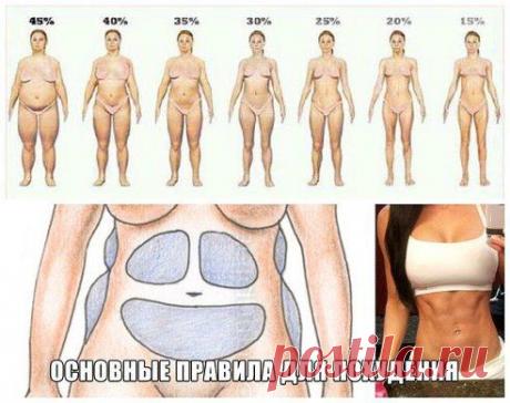 Девочки! Не слушайте всякие глупые советы по похудению и непонятные диеты!! Есть ОСНОВНЫЕ ПРАВИЛА, по которым и худеют безвозвратно. Хочу поделиться ими с вами, чтобы вы так же гордились собой, как и я! :) Я за год сбросила 43кг!! Как? Давайте разберемся!ag.ru/go/epicr/https://wce.zolotye-recepty.ru/kak-ya-skinyla-43kg.html