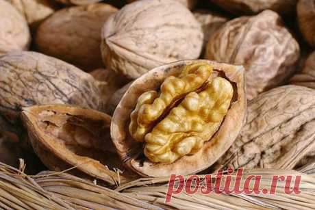 Лекарства из… продуктовых отходов