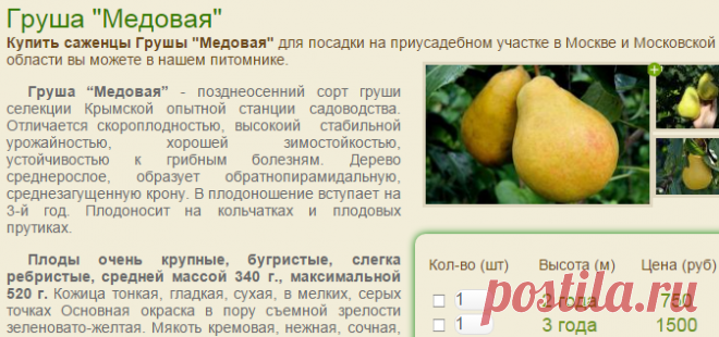 Все сорта груши. Питомник декоративных растений