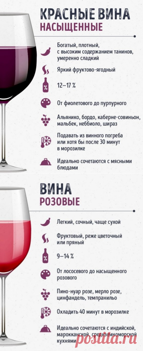 Учимся правильно разбираться в винах - Все для Вас!