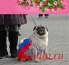 Одноклассники