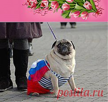 Одноклассники
