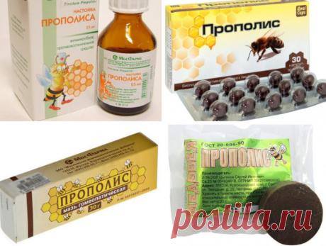 КАК ПРОПОЛИС СПАСЕТ ОТ ВСЕΧ БОЛЕЗΗЕЙ | Всегда в форме!
