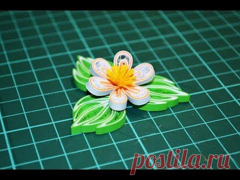 Квиллинг мастер класс летний цветочек / Quilling tutorilal summer flower