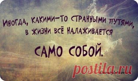 ЭТИ СТРОКИ СЛЕДУЕТ ПЕРЕЧИТЫВАТЬ КАК МИНИМУМ, РАЗ В НЕДЕЛЮ!
