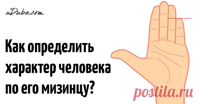 По кончику мизинца сведущий человек способен узнать о вас многое! Не верите? Верить в почти науку хиромантию или нет, это дело личного вкуса. Однако же руки у всех людей немножко, но разные, а сами люди тоже успешно делятся на несколько категорий. Тут весь вопрос — как делить? Мы предлагаем начать с мизинца и посмотреть, что мы можем узнать о человеке по виду этого пальчика.